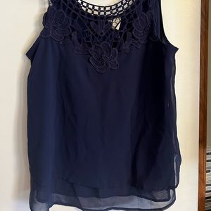 Japna Sleeveless Blouse
Size: Large
Color: Blue